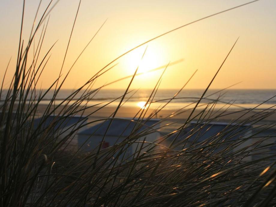 Apartmán Westhinder 308 De Panne Exteriér fotografie